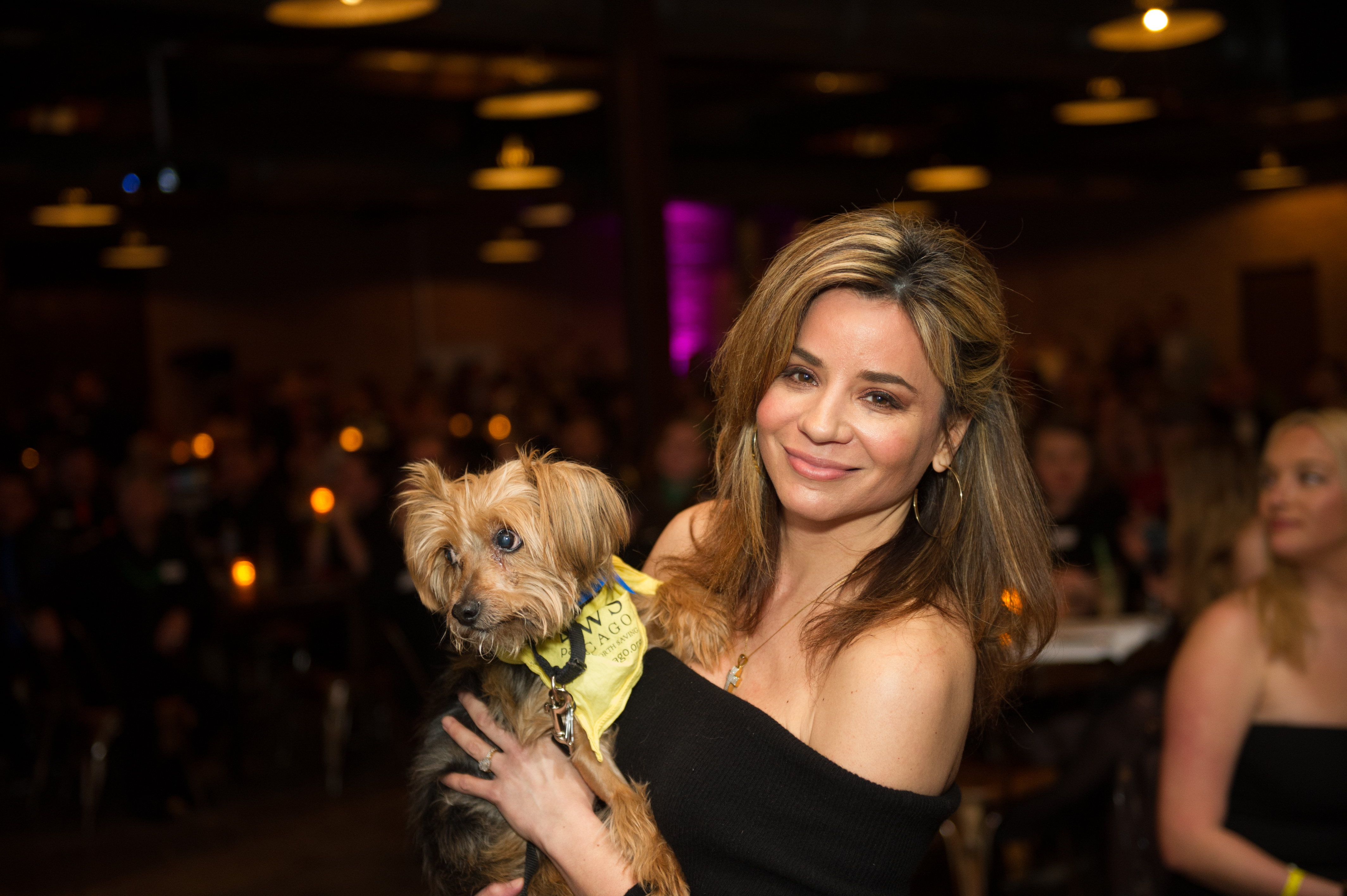 PAWS_Chicago_CEO_Susanna_Homan_with_adoptable_PAWS_dog_Jefferey_Photo_by_Sparenga_Photography.jpg