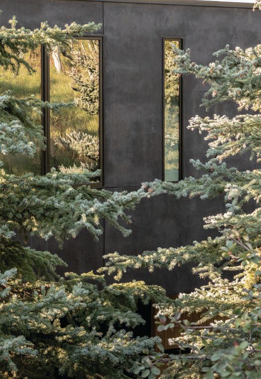 The home blends seamlessly into its natural surroundings. PHOTOGRAPHED BY DRAPER WHITE