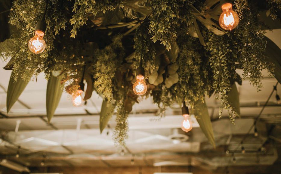 “We wanted to bring nature in,” Rahamat says. “Greenery was the vibe.” A lush hanging installation was interspersed with Edison bulbs Photographed by Gabrielle Daylor Photography