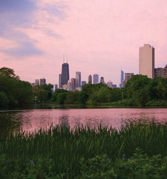 “I love the Caldwell Lily Pond at Fullerton and Lake Shore; it is truly one of the city’s hidden gems. I could sit there for hours just in quiet meditation.” PHOTO BY EZRA BOLDIZSAR/UNSPLASH