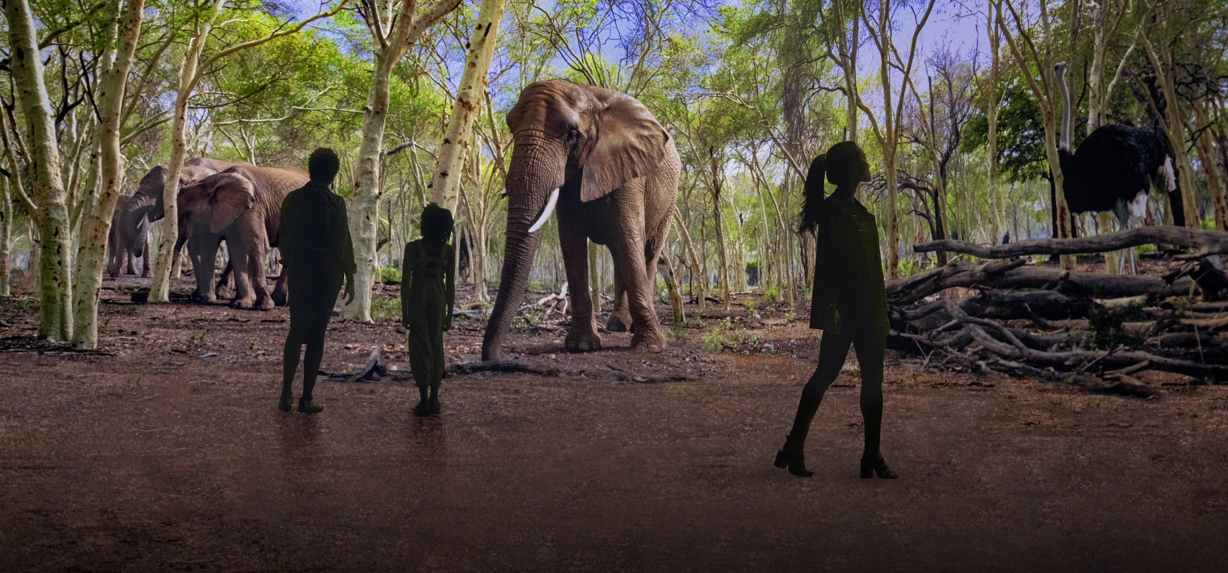 Illuminarium "Wild: A Safari Experience" rendering